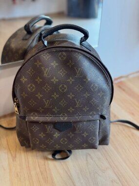 Louis Vuitton Palm Springs Backpack MM Monogram Canvas